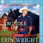 Bundle of Love: An Office Contemporary Western Romance