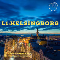 Helsingborg: Vart är vi på väg? Sveriges största städer