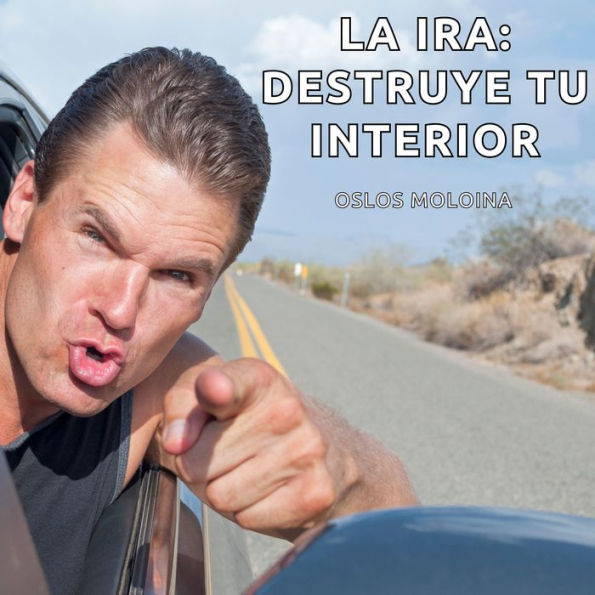 La ira: Destruye tu interior: Experiencias AA