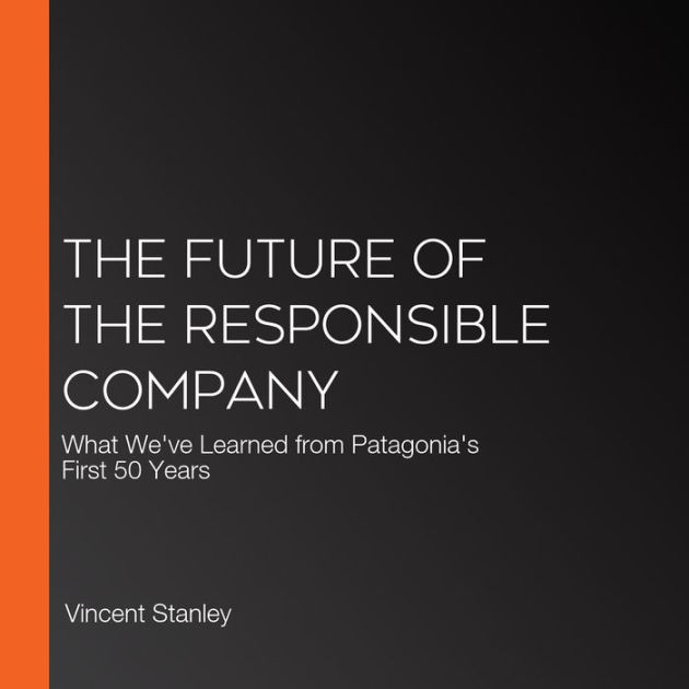 The Future of the Responsible Company: What We've Learned from