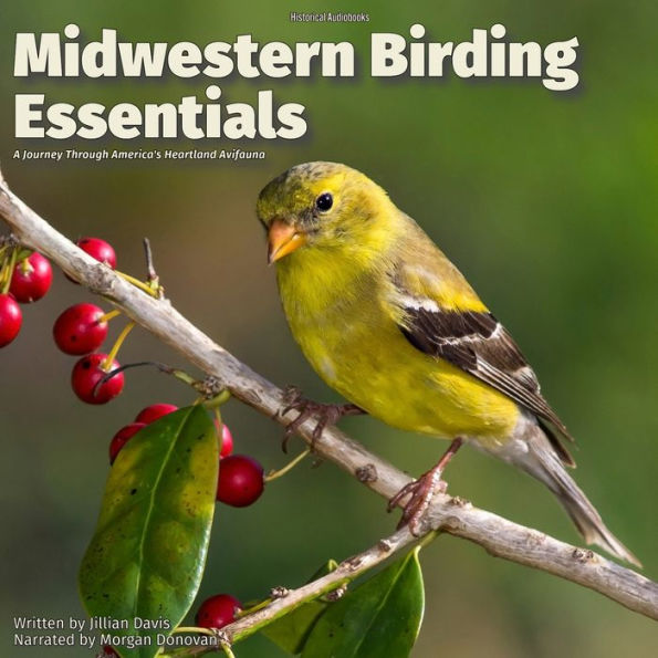Midwestern Birding Essentials: A Journey Through America's Heartland Avifauna