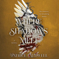 Where Shadows Meet: A Novel