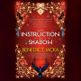 An Instruction in Shadow