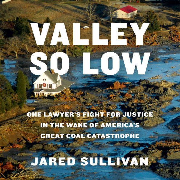 Valley So Low: One Lawyer's Fight for Justice in the Wake of America's Great Coal Catastrophe