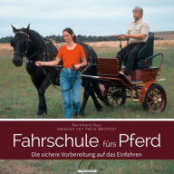 Fahrschule fürs Pferd: Die sichere Vorbereitung auf das Einfahren