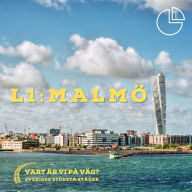 Malmö: Vart är vi på väg? Sveriges största städer