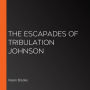 The Escapades of Tribulation Johnson