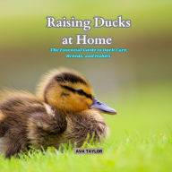 Raising Ducks at Home: The Essential Guide to Duck Care, Breeds, and Habits