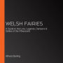 Welsh Fairies: A Guide to the Lore, Legends, Denizens & Deities of the Otherworld