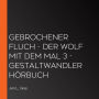 Gebrochener Fluch - Der Wolf mit dem Mal 3 - Gestaltwandler Hörbuch