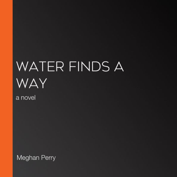 Water Finds a Way: a novel