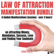 Law Of Attraction Manifestation Bundle: 6 Guided Manifestations Sessions (over 3 hours!) on attracting Money, Abundance, Success, Love and Finding Your Soulmate