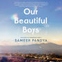 Our Beautiful Boys: A Novel