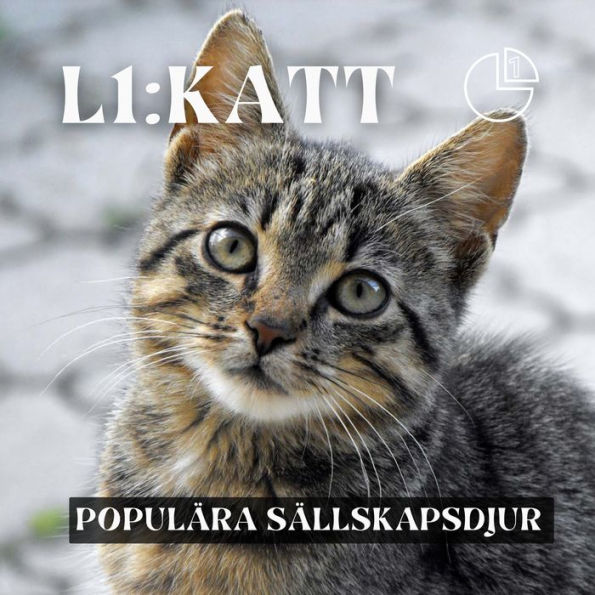 Katt: Populära sällskapsdjur