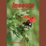 Insects: A Compare and Contrast Book