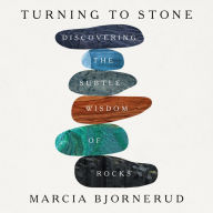Turning to Stone: Discovering the Subtle Wisdom of Rocks