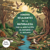 Sonidos Relajantes De La Naturaleza Para La Meditación El Estudio Y El Descanso