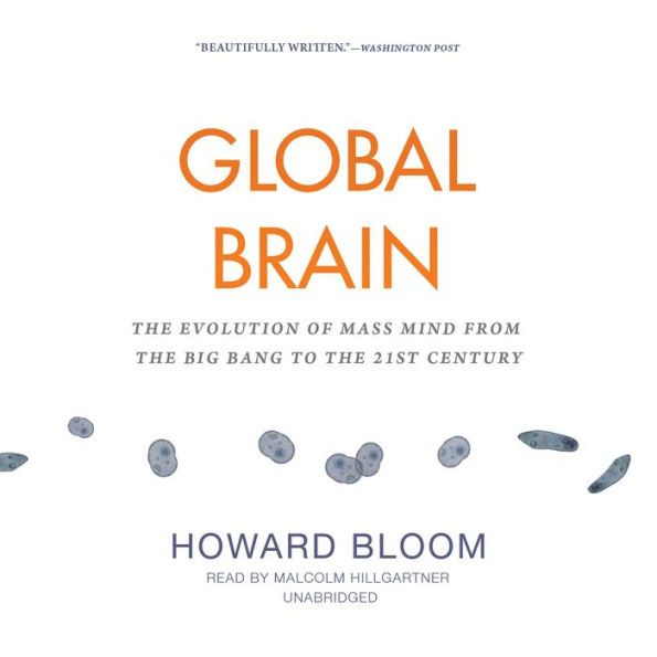 Global Brain: The Evolution of Mass Mind from the Big Bang to the 21st Century