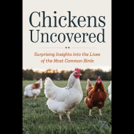 Chickens Uncovered: Surprising Insights Into The Lives Of The Most Common Birds