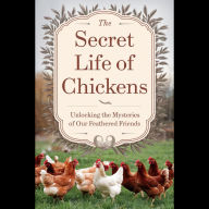 The Secret Life Of Chickens: Unlocking The Mysteries Of Our Feathered Friends