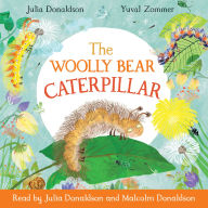 The Woolly Bear Caterpillar