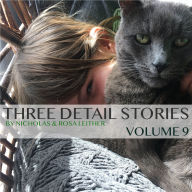 Three Detail Stories: Volume 9
