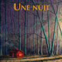 Une nuit