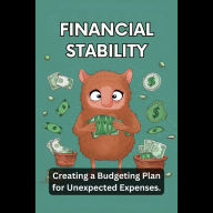 Financial Stability: Creating a Budgeting Plan for Unexpected Expenses