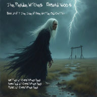 Pendle Witches, The - England 1600's: Book 2 of 7 - The tale of Anne Whittle (Old Chattox)