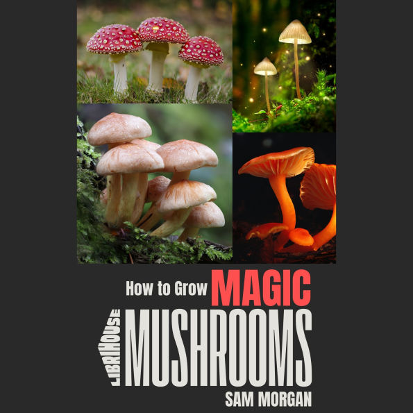 How to Grow Magic Mushrooms