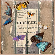 MUSÉUM: Petite collection d'ailes et d'âmes trouvées sur l'Amazone