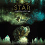 Trichome Star Fractals of Time