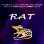 Tout ce que vous devez savoir sur le zodiaque chinois, le rat