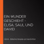 Ein Wunder geschieht - Elisa, Saul und David
