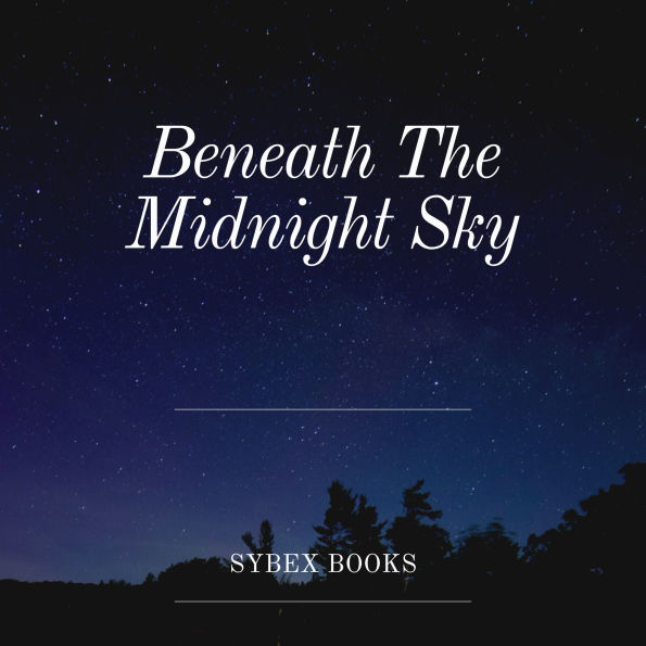 Beneath The Midnight Sky: A Symphony of Silence