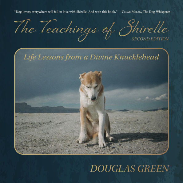 The Teachings of Shirelle: Life Lessons from a Divine Knucklehead
