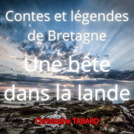 Une bête dans la lande: Contes et légendes de Bretagne