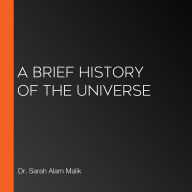 A Brief History of the Universe