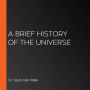 A Brief History of the Universe