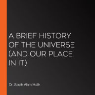 Brief History of the Universe, A (And Our Place in It)