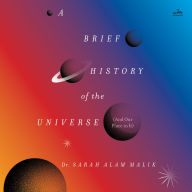 Brief History of the Universe, A (And Our Place in It)