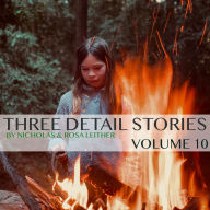 Three Detail Stories: Volume 10
