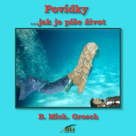 Povídky: ...jak je pí¿e ¿ivot