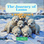 The Journey of Luma: A Harp Seal's Tale
