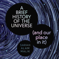 Brief History of the Universe, A (and our place in it)