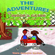 The Adventures of Snook and Gator: Snook'S Cool Idea for a Hot Day