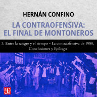 Entre la sangre y el tiempo, La contraofensiva de 1980, Conclusiones y Epílogo - La contraofensiva - El final de montoneros, Parte 3