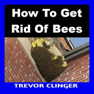 How To Get Rid Of Bees