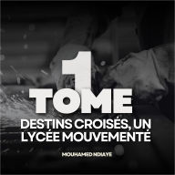 Destins Croisés: Un Lycée Mouvementé Tome 1: Une année pleine de surprises