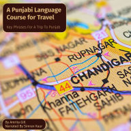 A Punjabi Language Course for Travel: Key Phrases for a Trip to Punjab